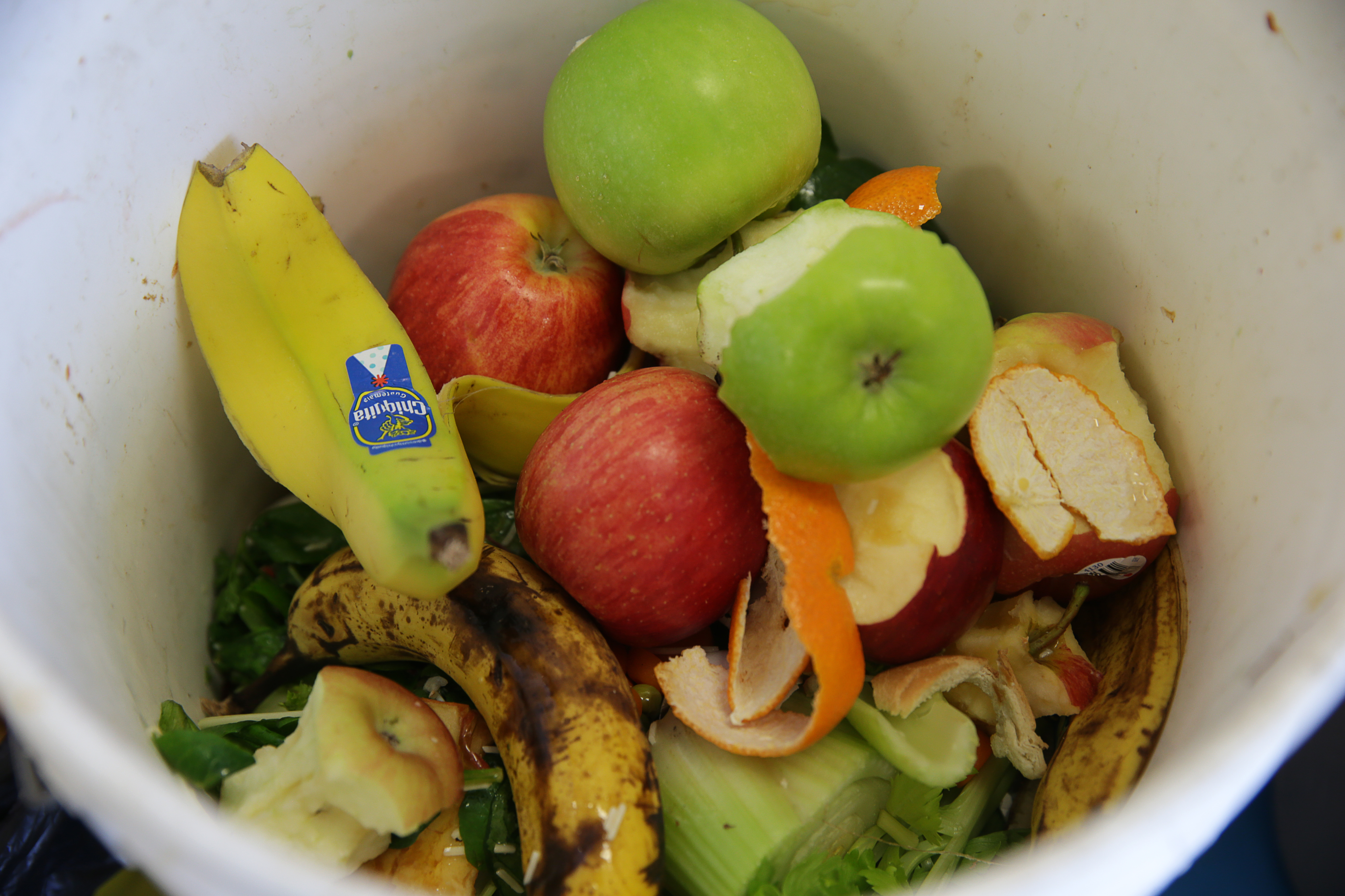 State cuts in half the amount of commercial food waste that can legally be thrown out - Vimarsana News