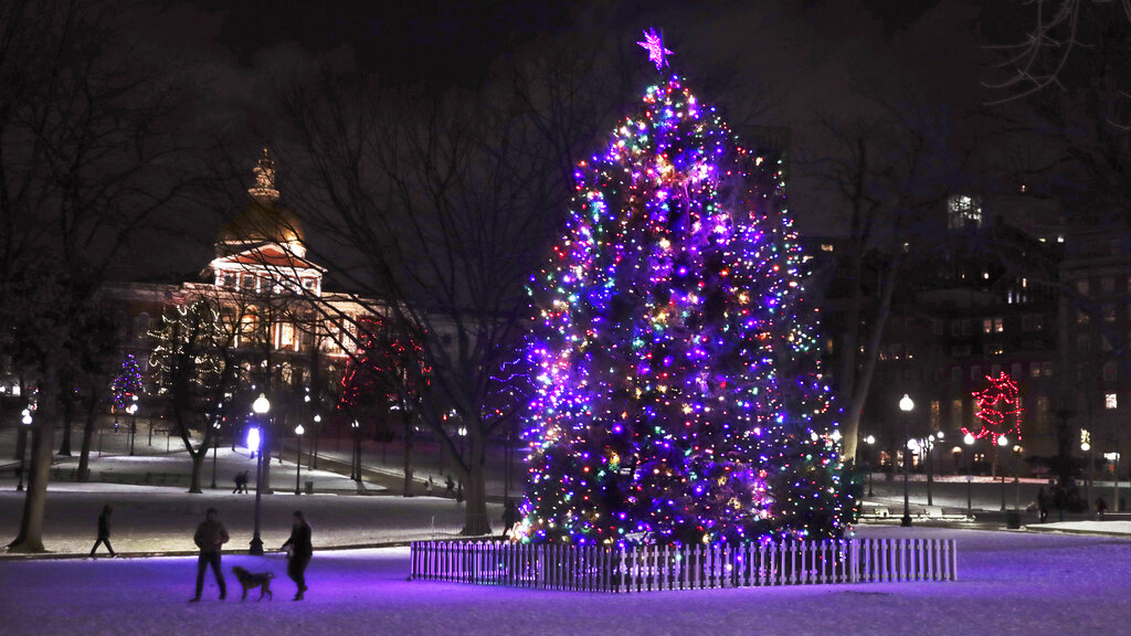 The December drop: Entertain yourself at a flan pop-up, holiday art walk and more - Vimarsana News