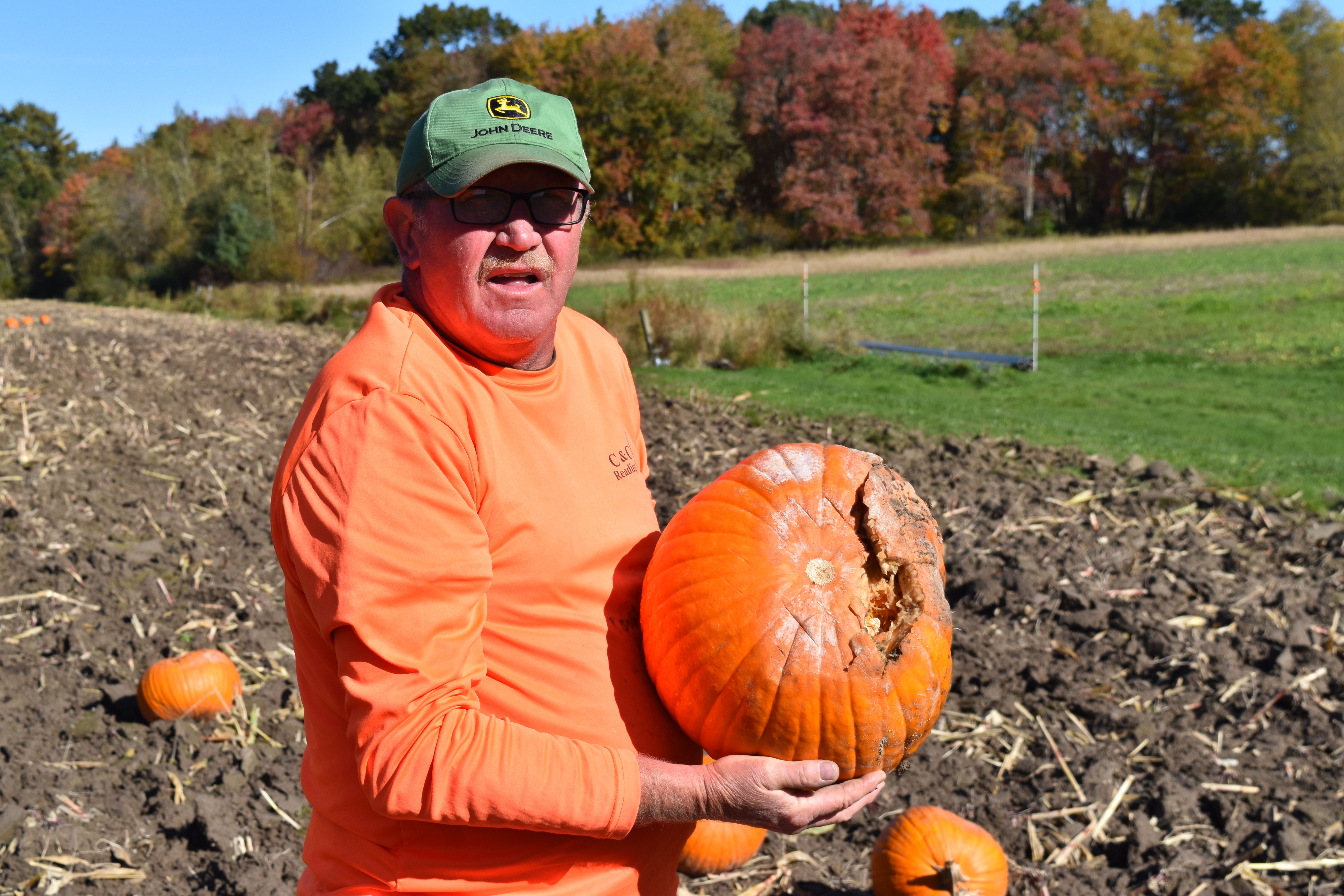 Rainy Summer Devastated Mass. Pumpkins And Other Crops - Vimarsana News