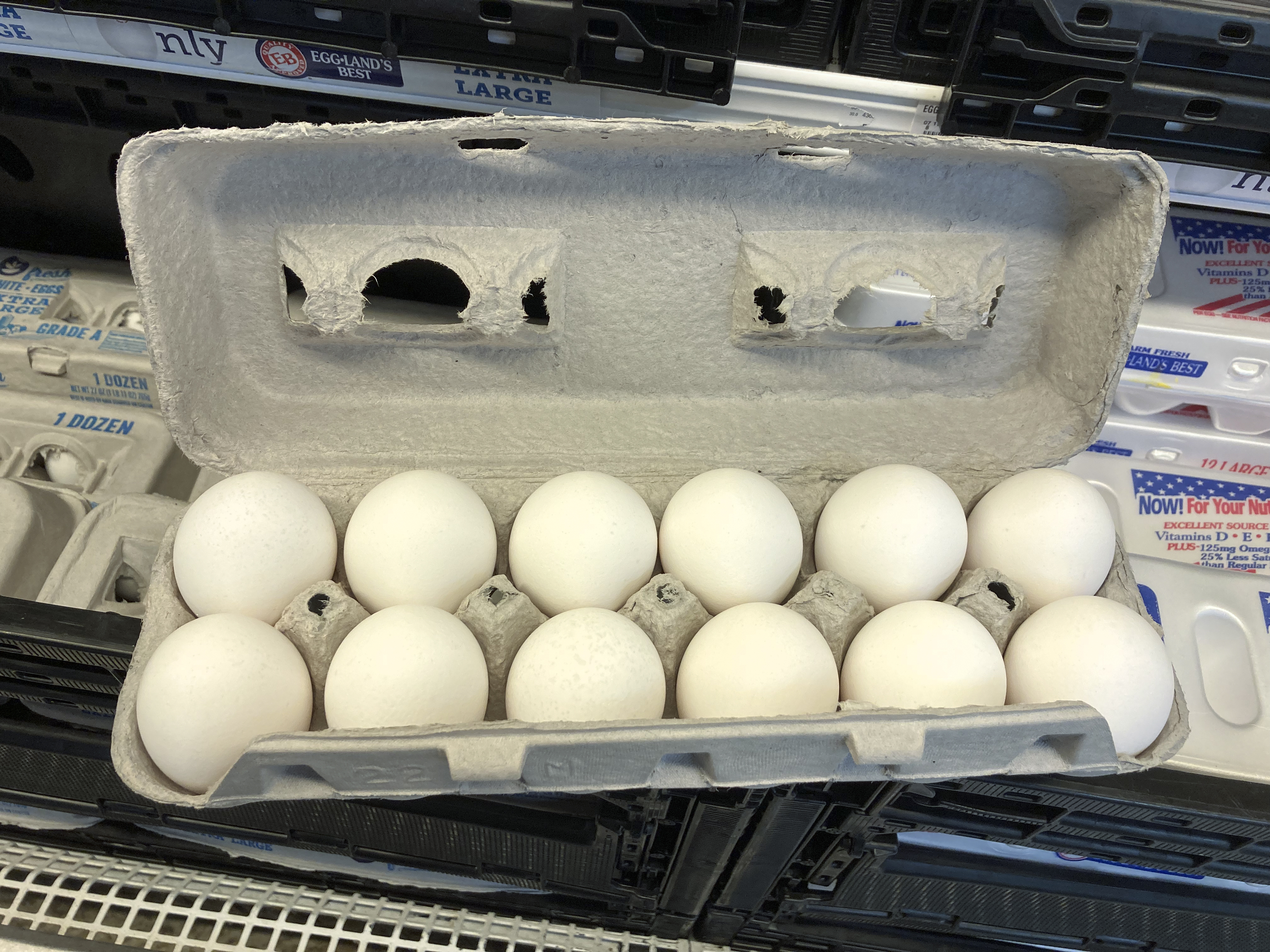 Egg-xactly what we feared: Massachusetts could see egg shortage in the new year - Vimarsana News