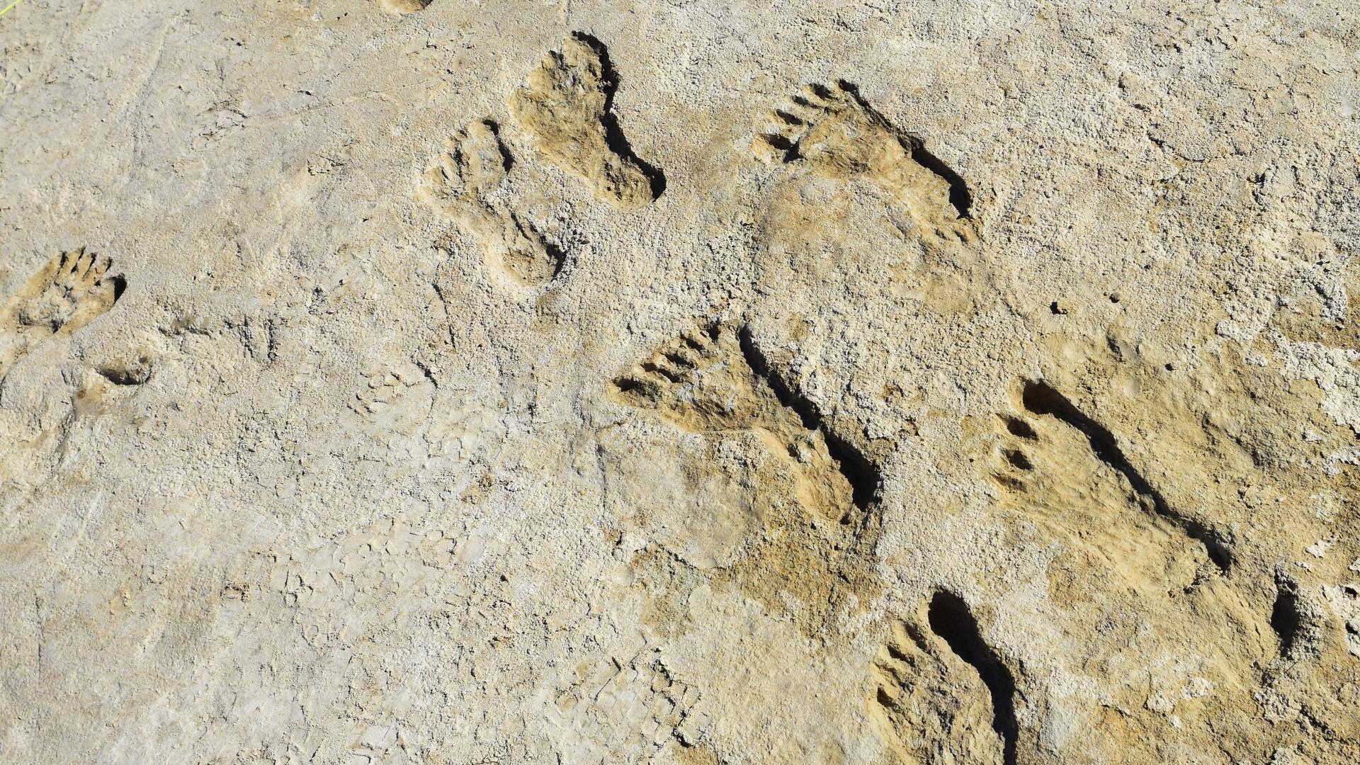 NOVA Explores Ice Age Footprints - Vimarsana News