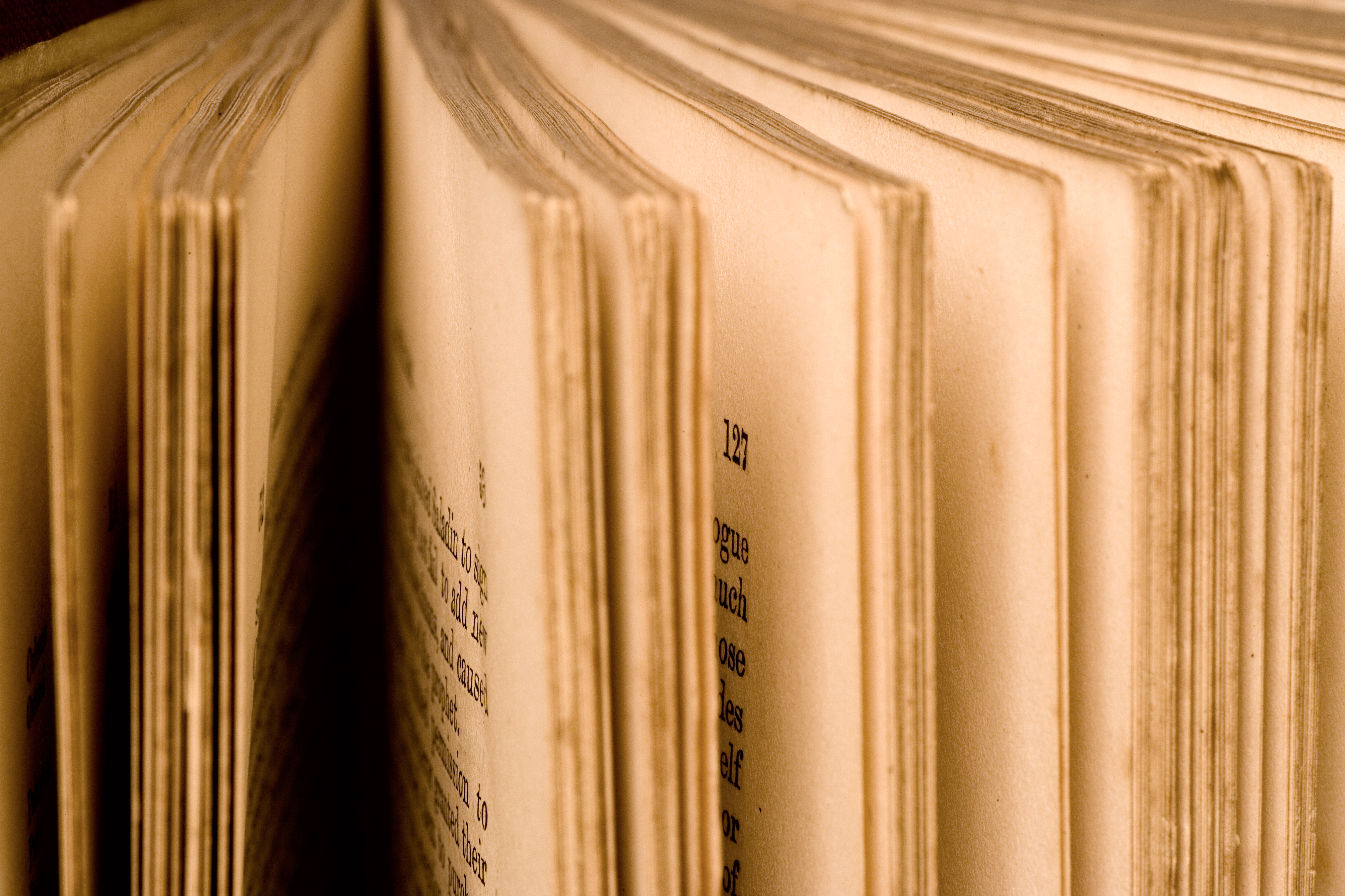 Historical fiction: The genre that makes history come to life - Vimarsana News