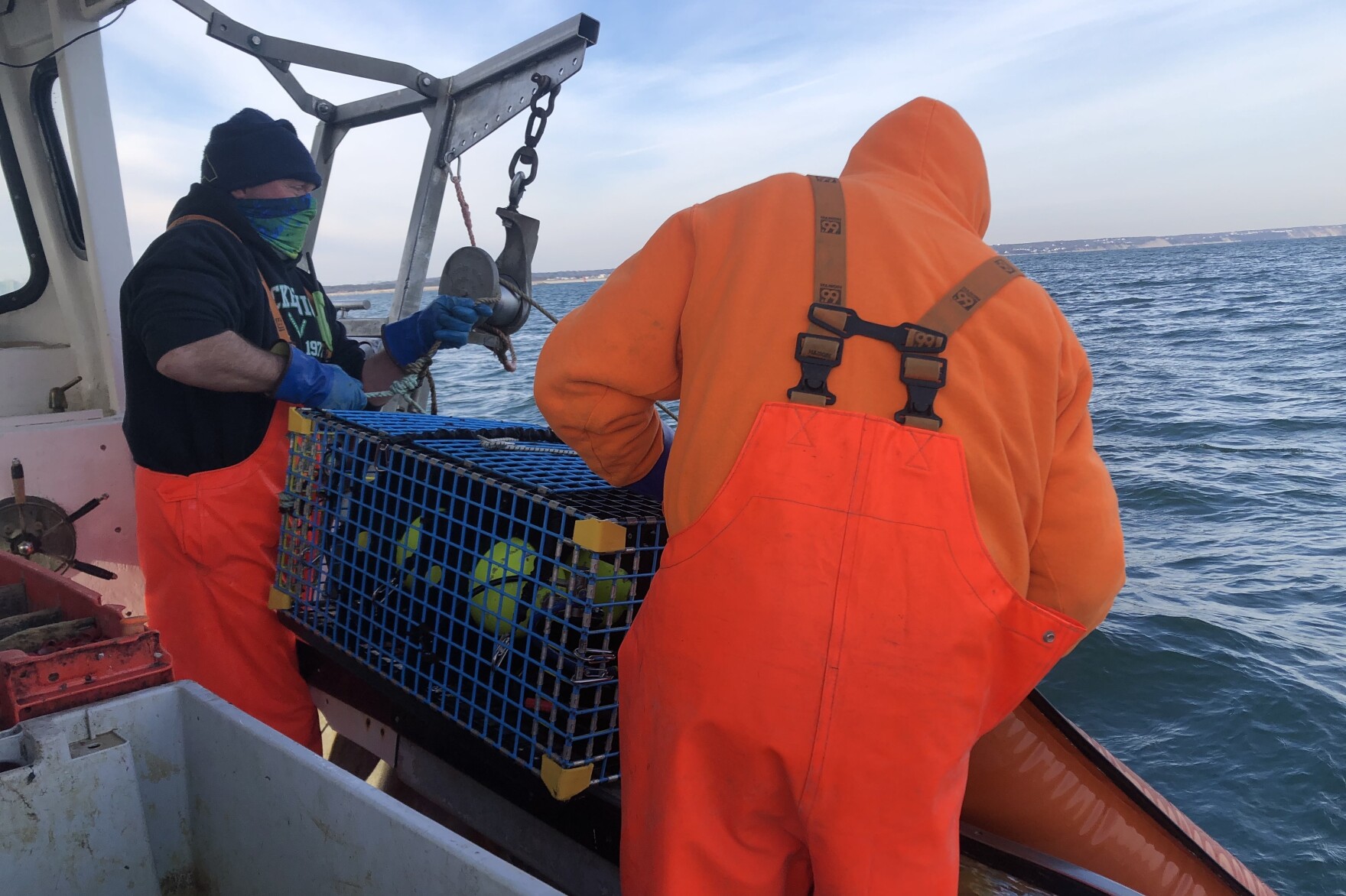 Judge dismisses case to ban lobster lines, but opens door to future right whale protections - Vimarsana News