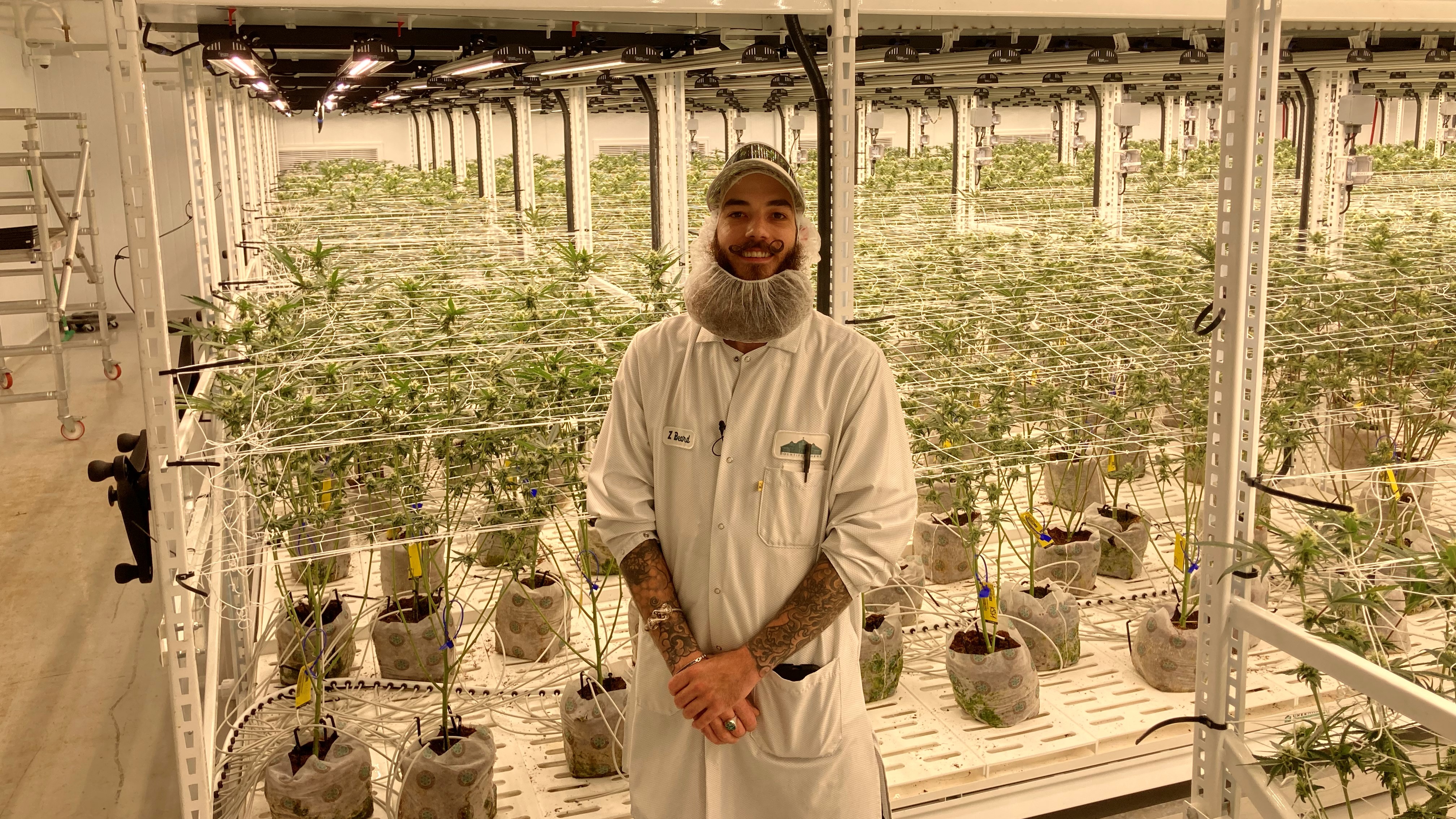 How are cannabis edibles made? A look inside two Massachusetts companies that make them - Vimarsana News