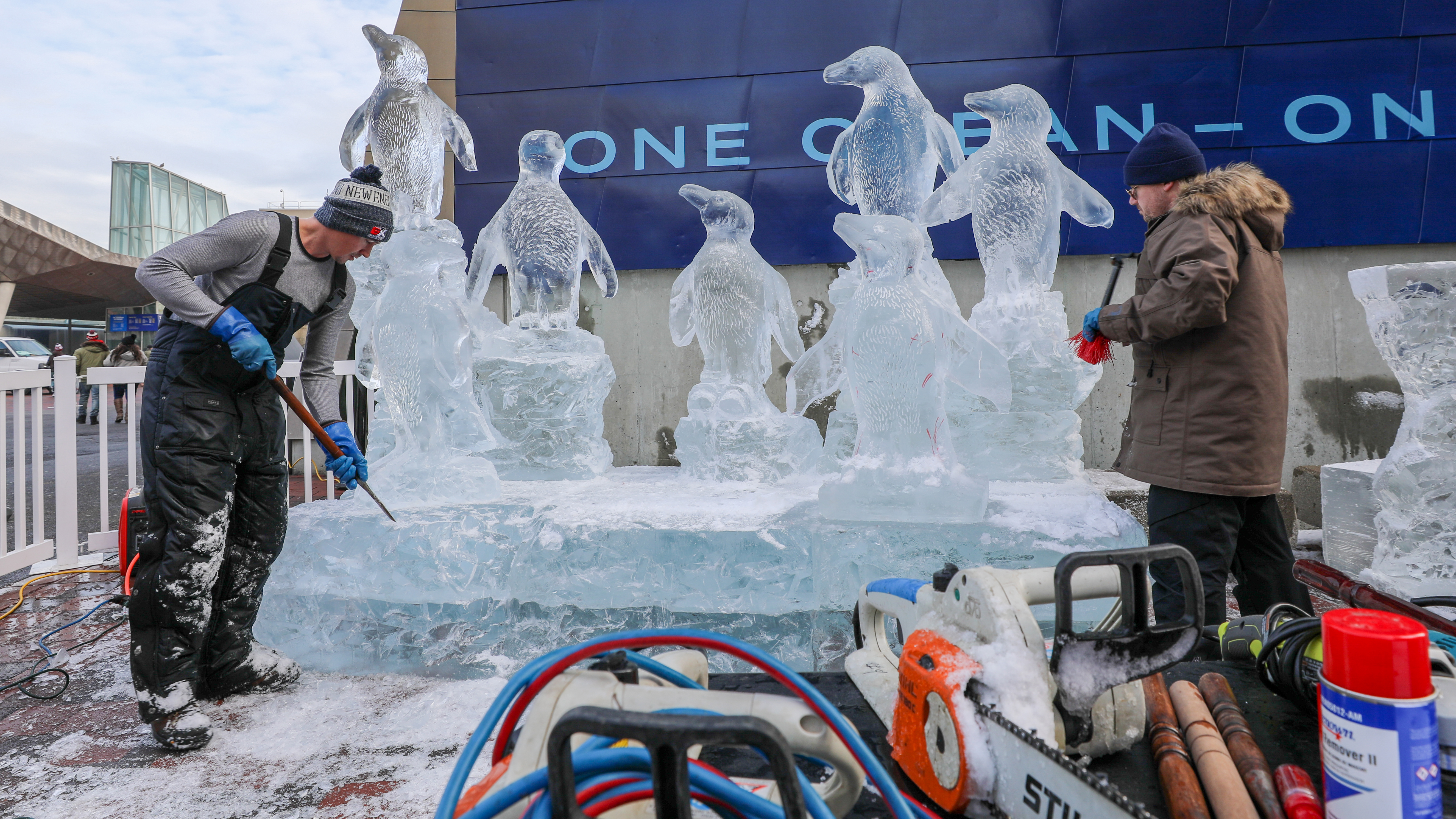 New England Aquarium's annual ice sculpture features beloved African penguins - Vimarsana News