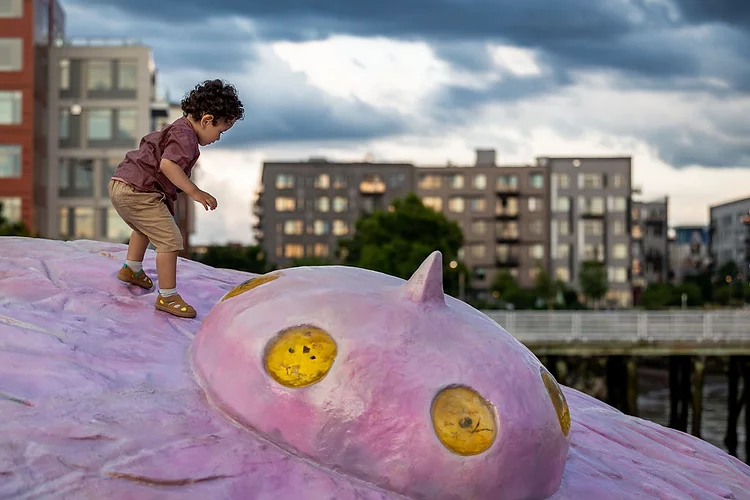 How a UFO in Boston sends a message of hope amid environmental despair - Vimarsana News