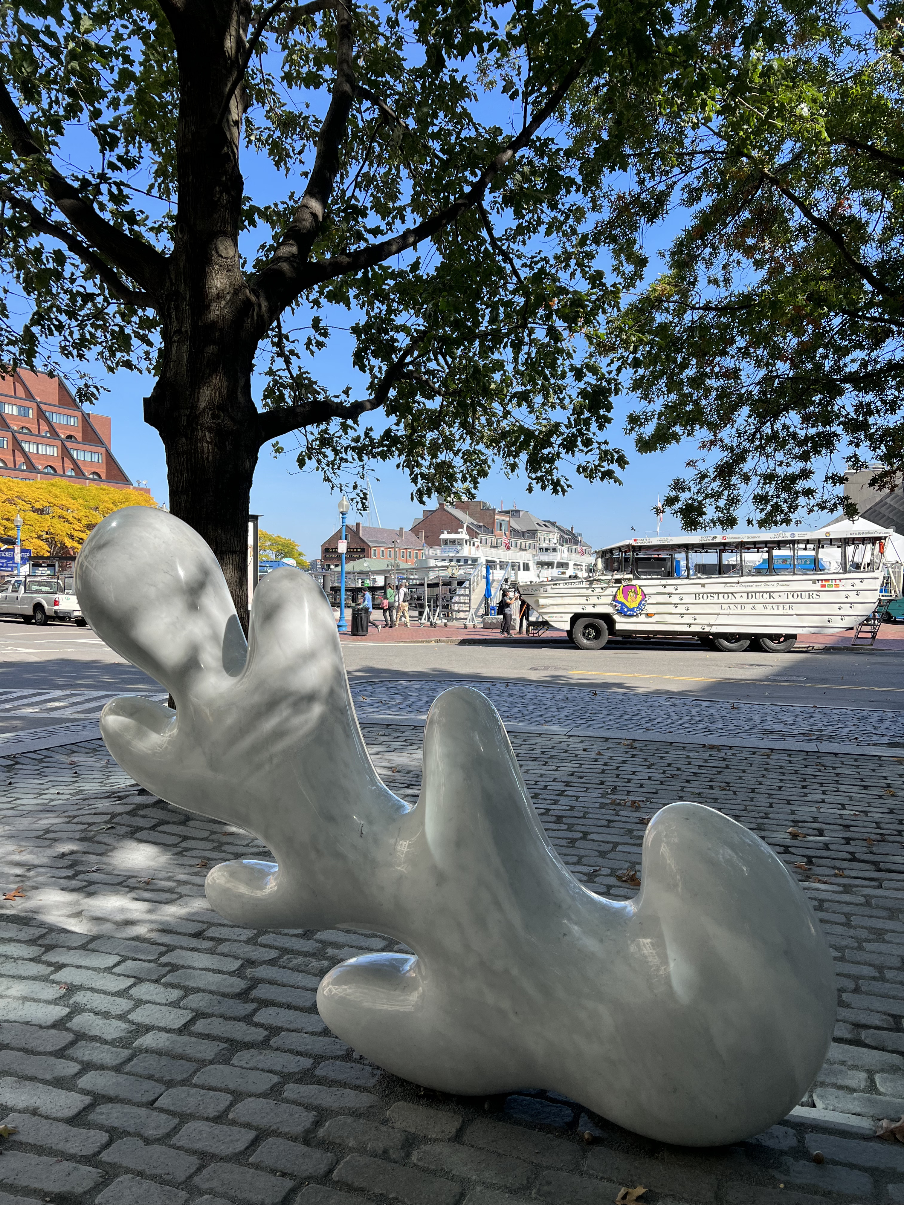 Huggable marble sculptures bring joy to Central Wharf Park - Vimarsana News