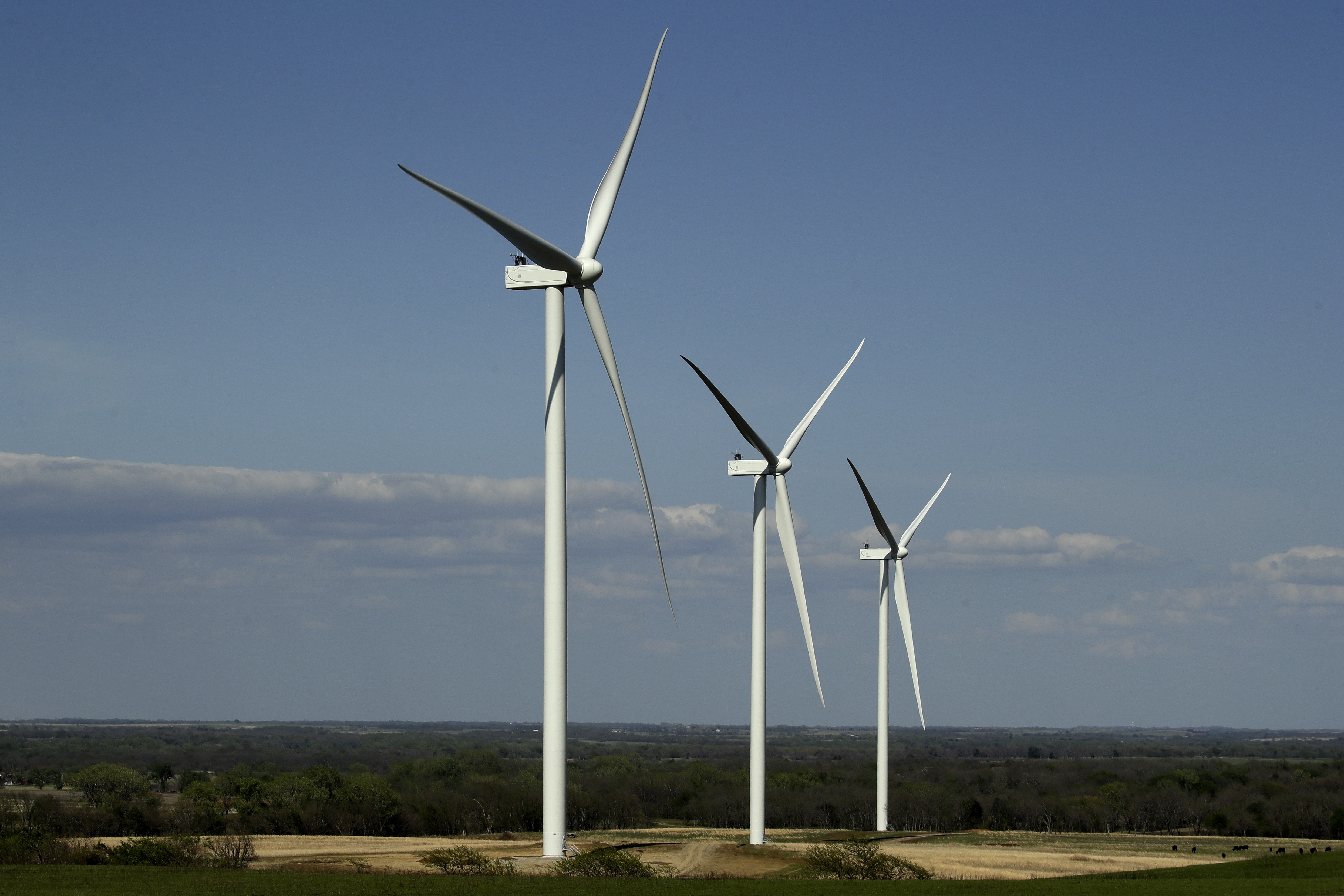 Mass. voters of color show greater support for shift toward clean energy - Vimarsana News
