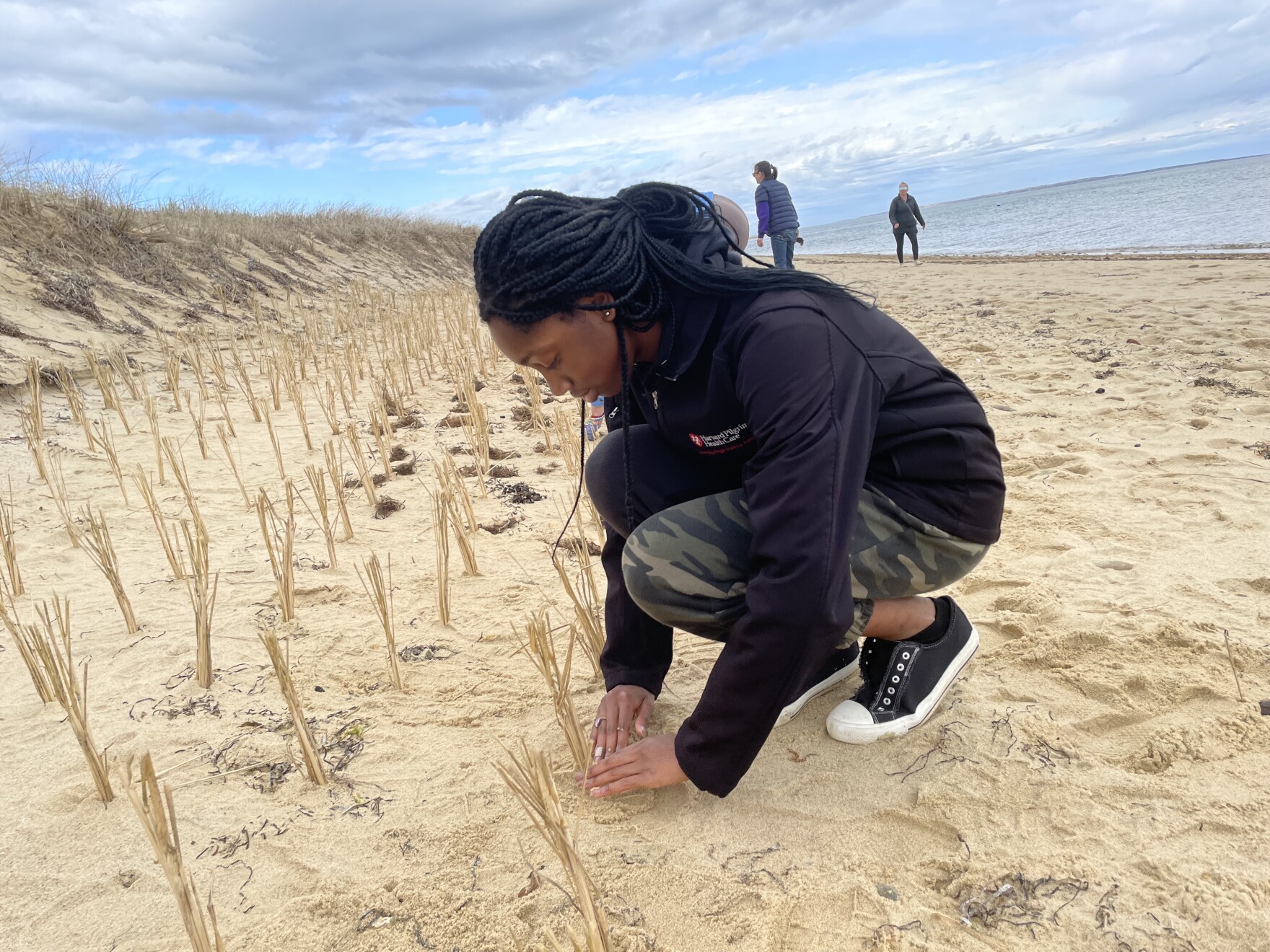 Many hands in the sand: Aquinnah tribe, volunteers plant beach grass for climate-resilient coast - Vimarsana News