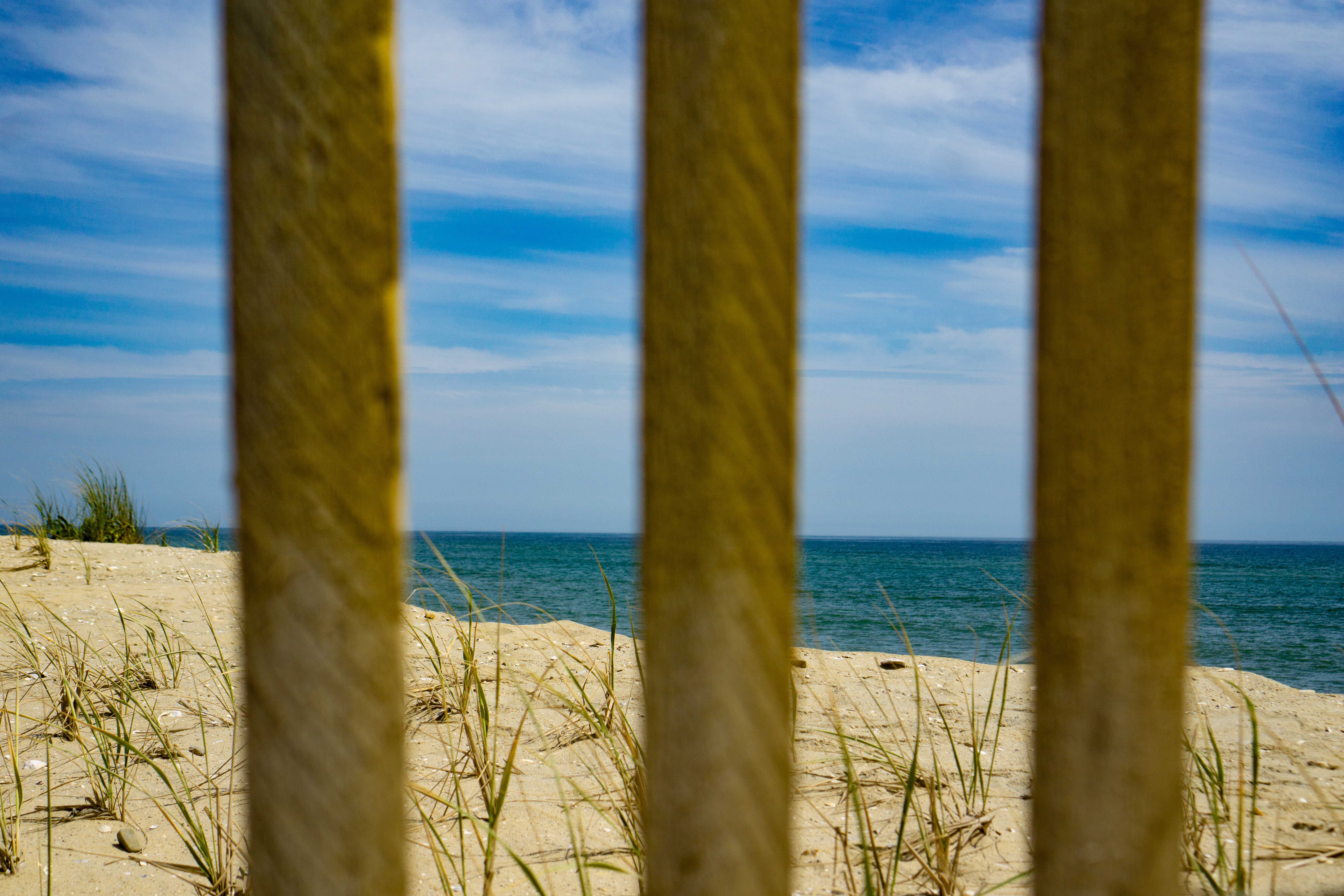Barriers at the Beach: People tussle over scarce access as sea levels and property values rise - Vimarsana News