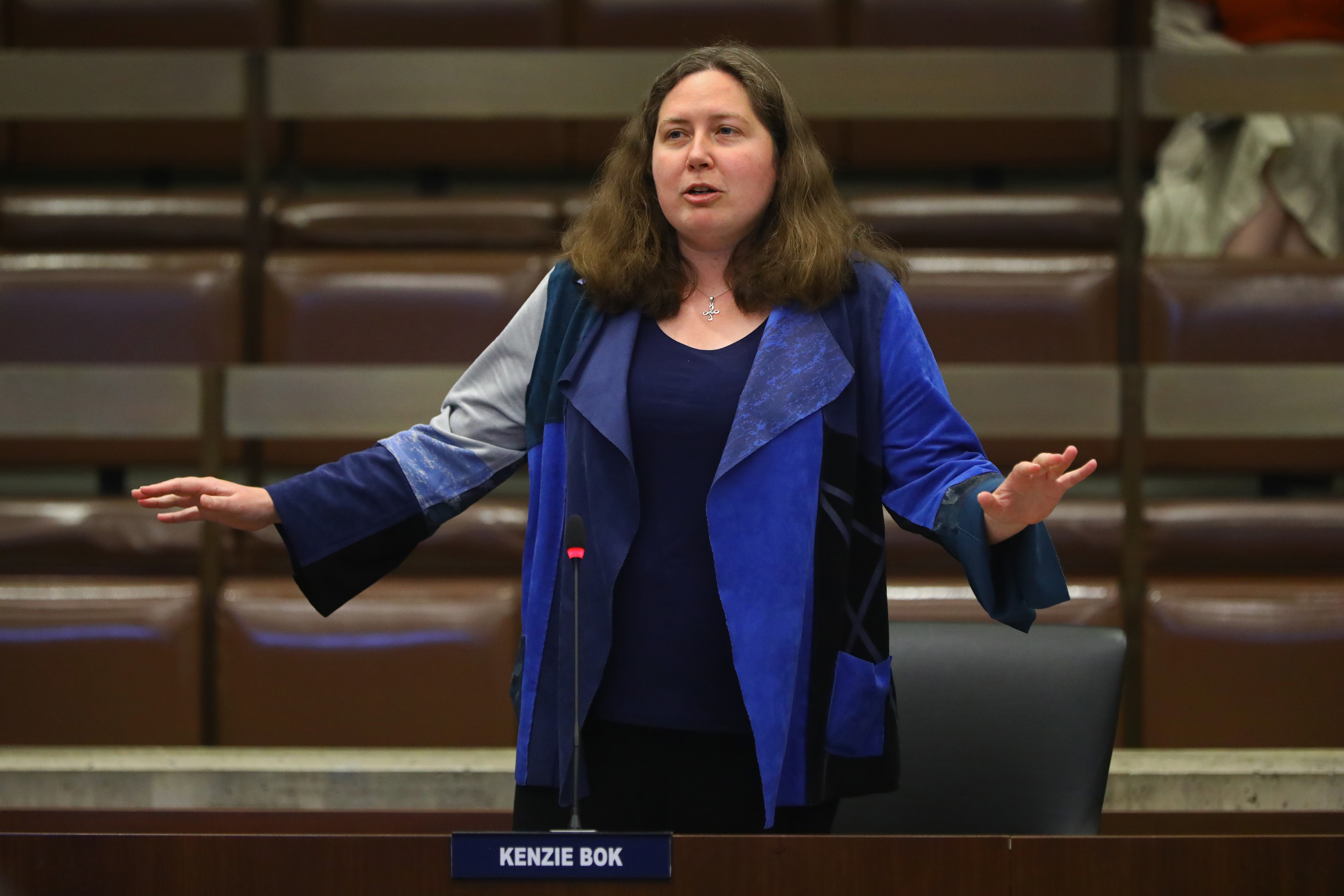 Councilor Kenzie Bok picked to lead Boston Housing Authority - Vimarsana News