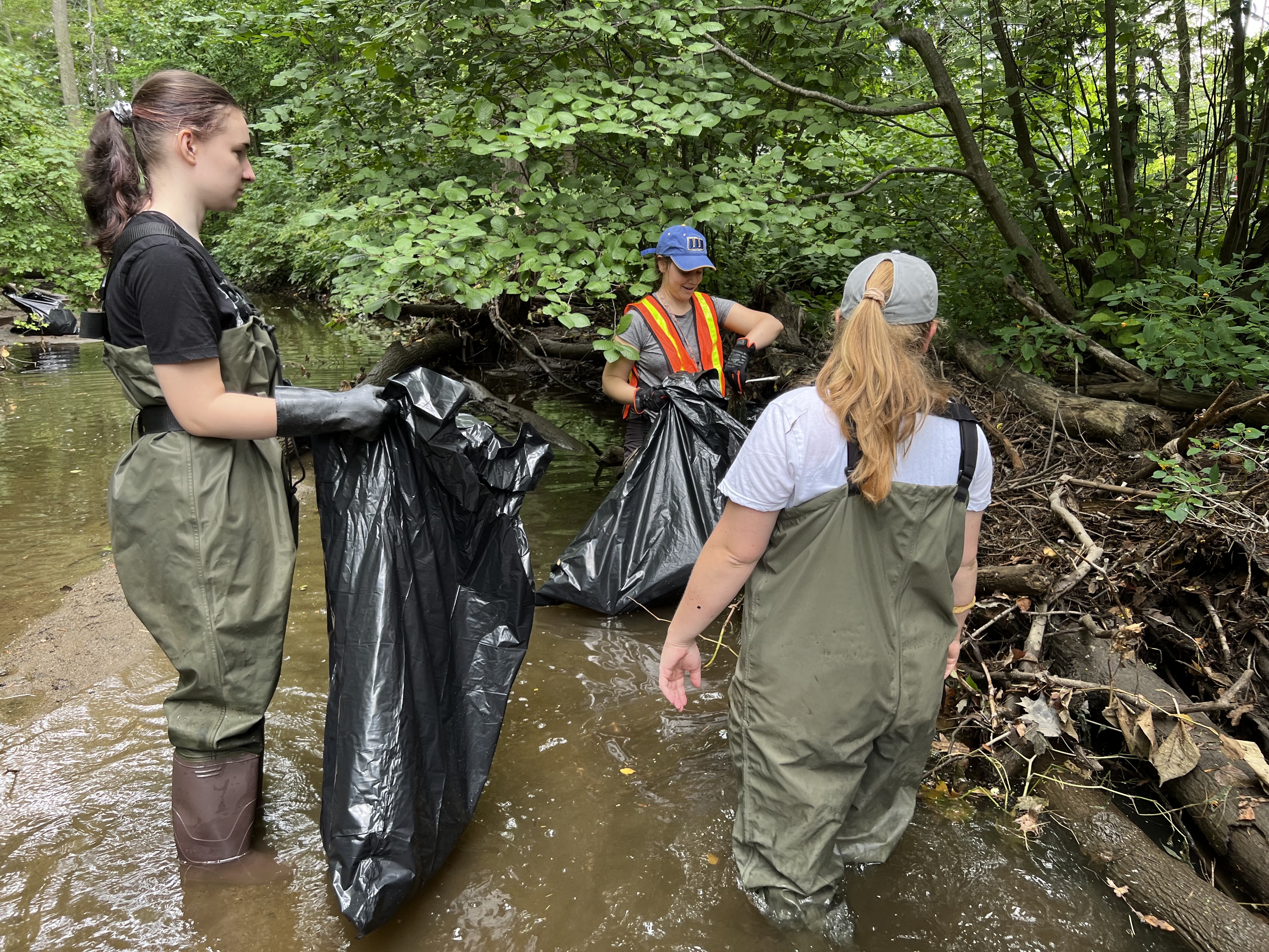 Blackstone River still suffers from pollution 50 years after massive cleanup - Vimarsana News