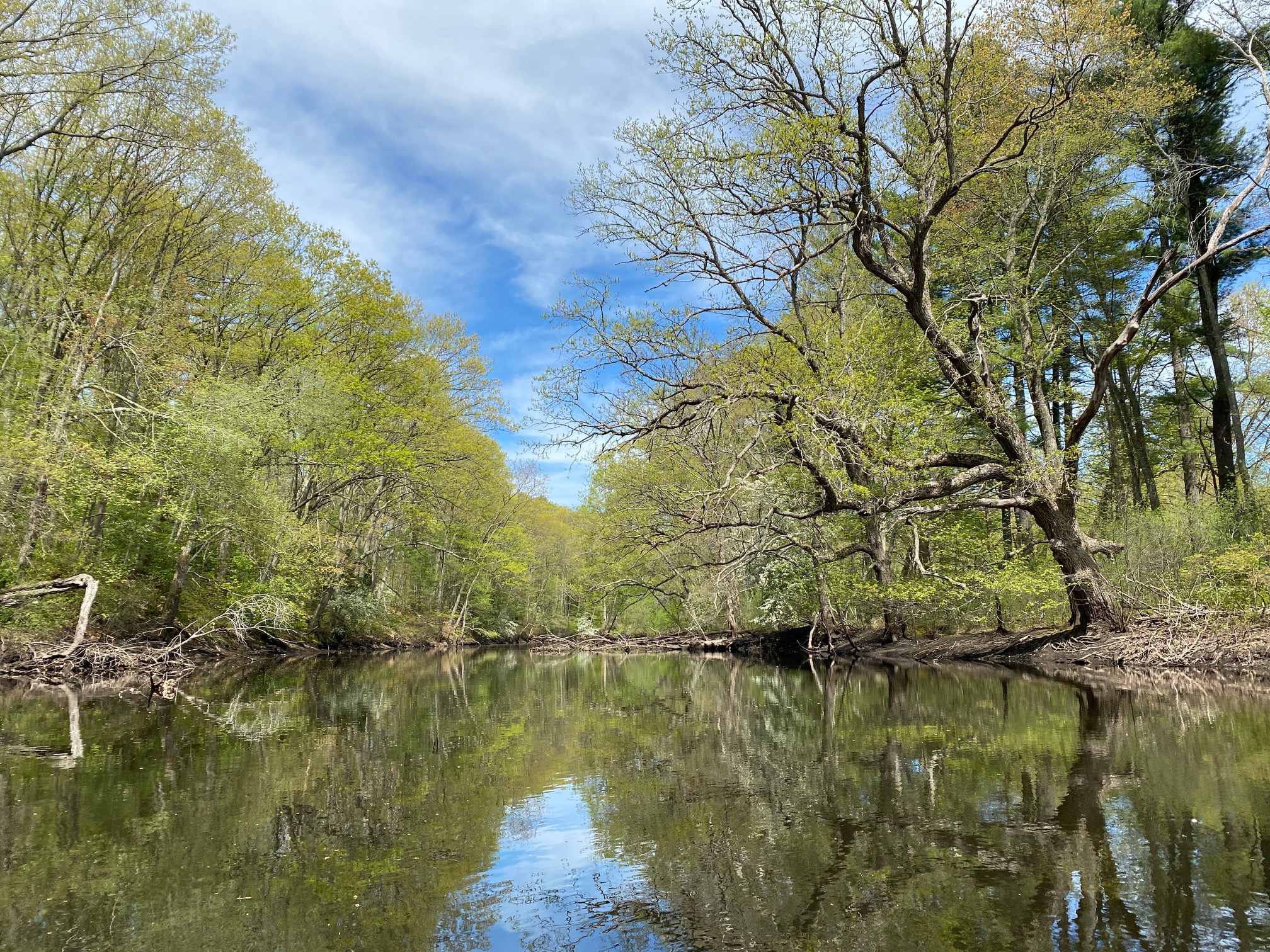 Drying rivers and drought: What we can do in Massachusetts (Virtual) - Vimarsana News