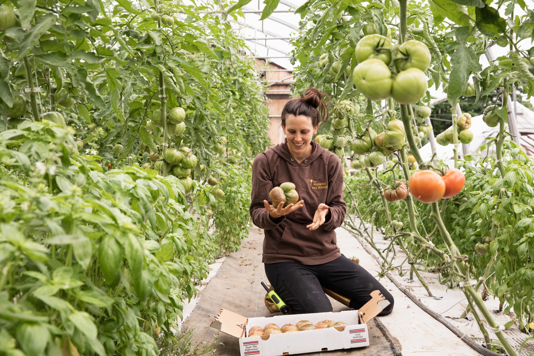 Vermont is piloting a new program to help farmers rely on one another during stressful times - Vimarsana News